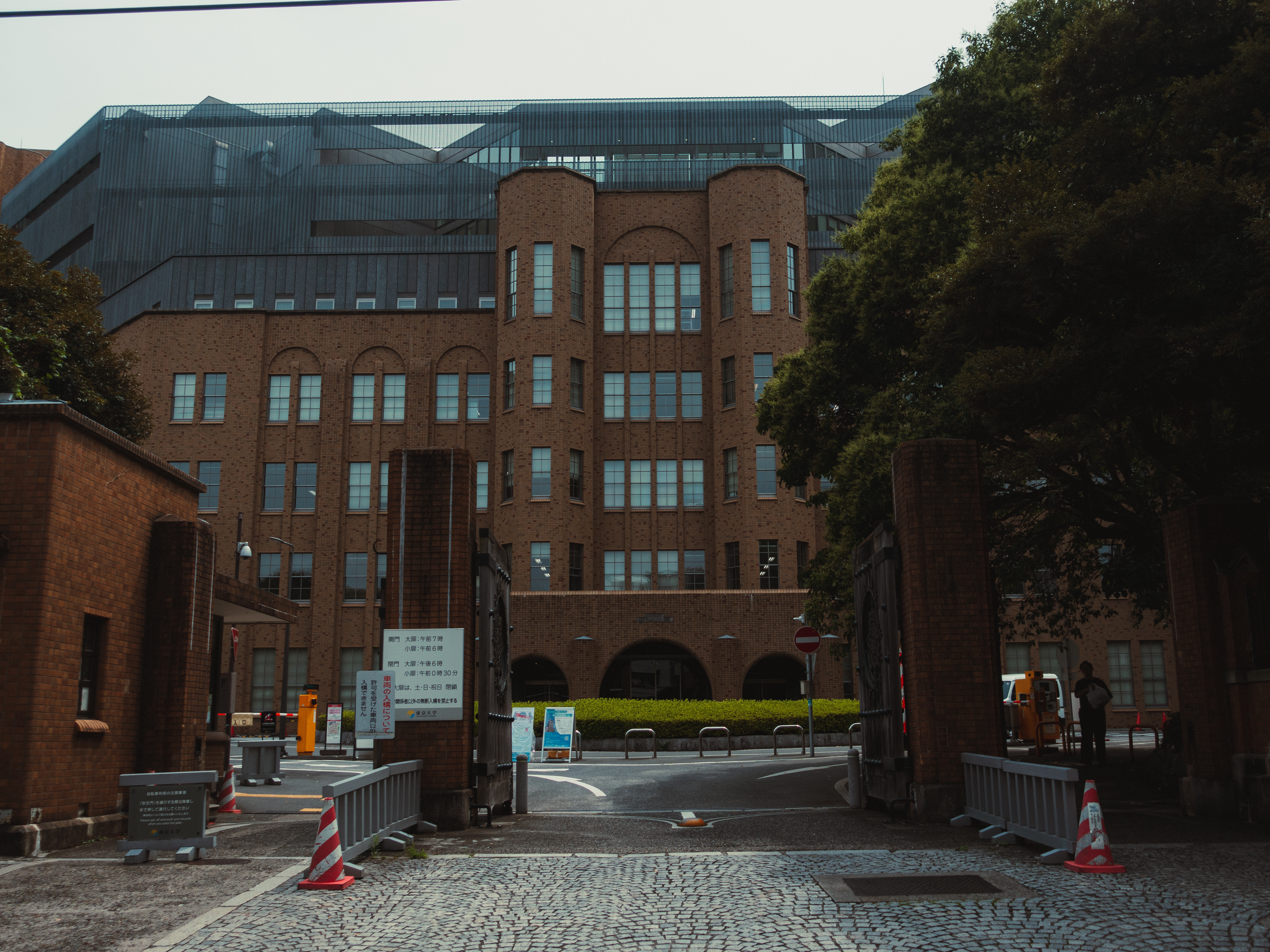 东京大学